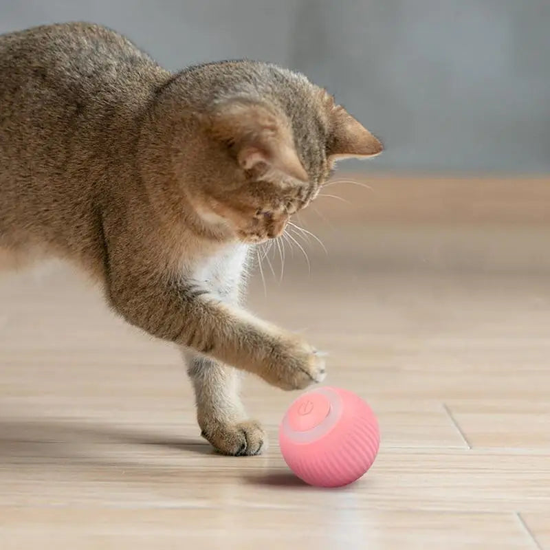 Cat Interactive Ball Smart Cat Dogtoys Electronic Interactive Cat Toy Indoor Automatic Rolling Magic Ball USB Charging Cat Toys